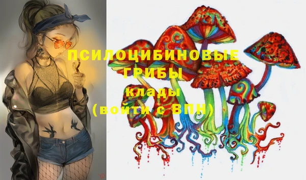mix Верхний Тагил