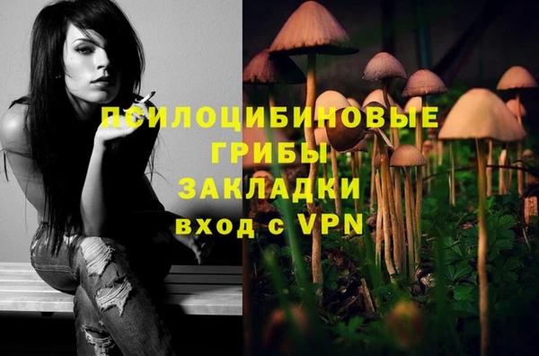 ALPHA-PVP Верея