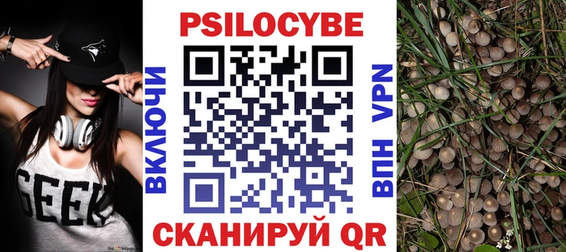Псилоцибиновые грибы прущие грибы  Губкинский 